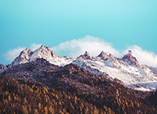 bob半岛体育-字母哥若留队热火也有B计划：打包希罗换比尔